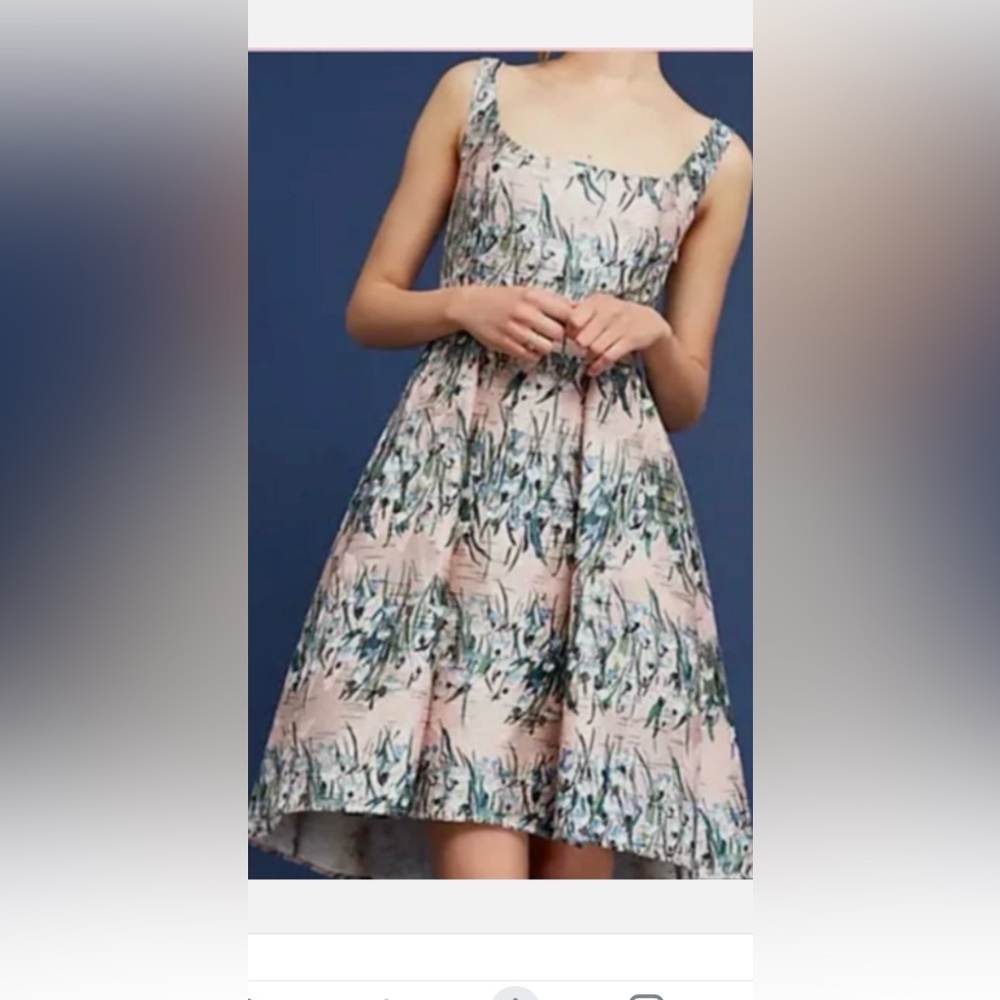 NWT Eva Franco for Anthropologie Pink and Green Floral Dress